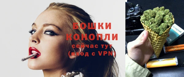spice Богородицк