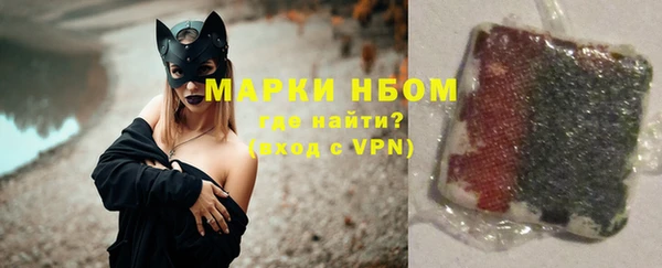 spice Богородицк