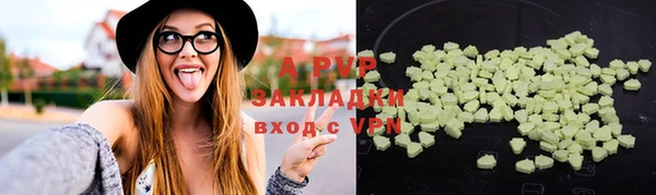 гашиш Богданович