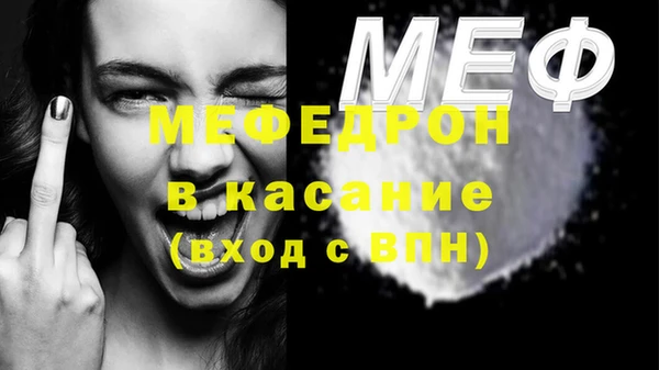 spice Богородицк