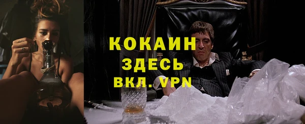 гашиш Богданович