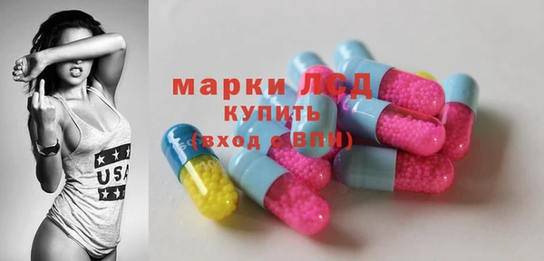 spice Богородицк