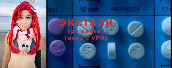 spice Богородицк