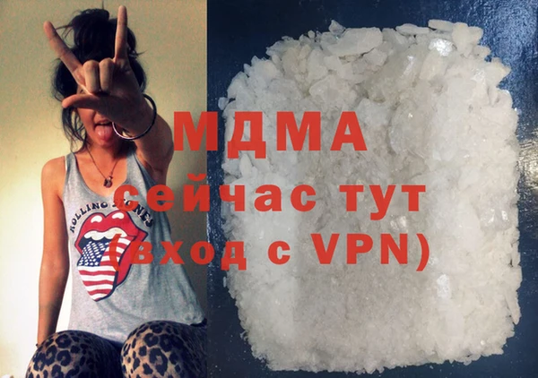 spice Богородицк