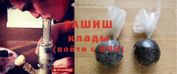 spice Богородицк