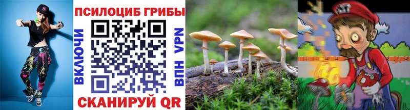 ОМГ ОМГ маркетплейс  Уфа  Псилоцибиновые грибы Psilocybine cubensis 
